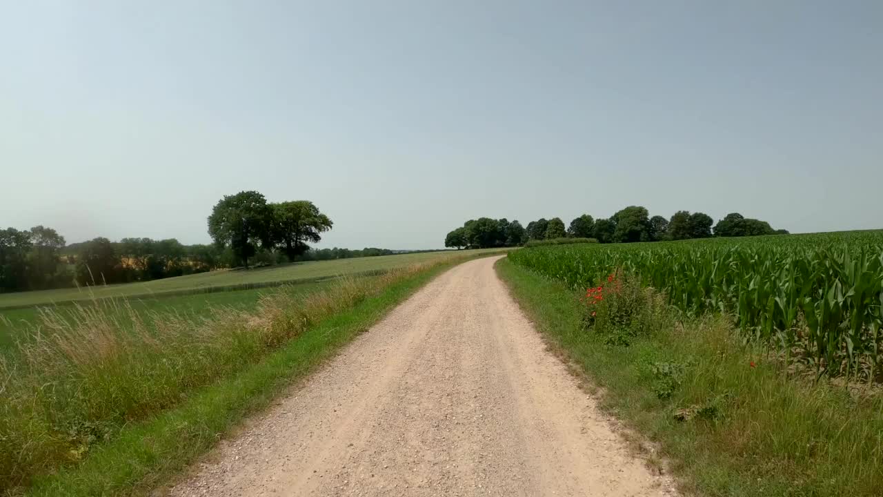 荷兰南林堡Margraten附近的一条风景优美的道路上骑着摩托车行驶视频素材