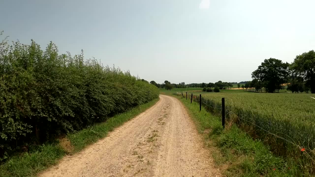 荷兰南林堡Margraten附近的一条风景优美的道路上骑着摩托车行驶视频素材