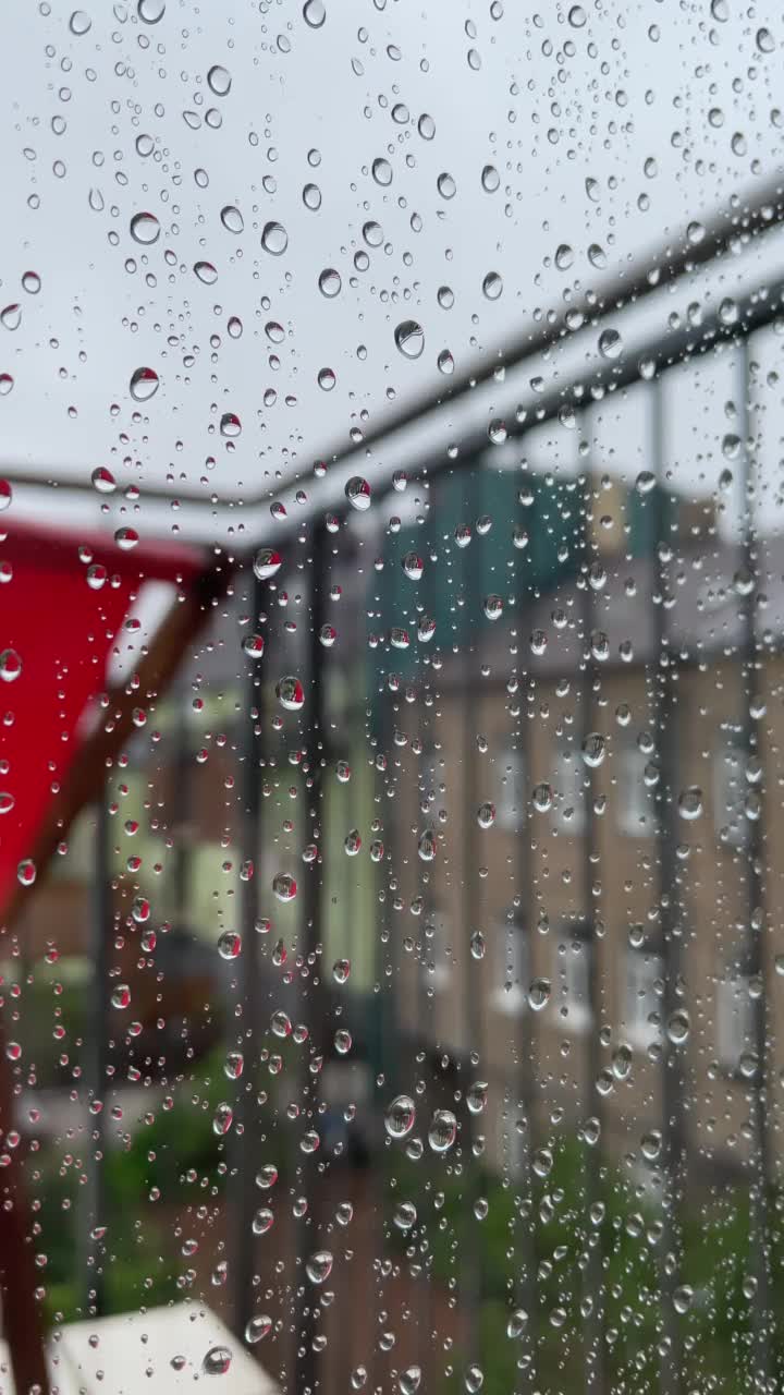 一个雨天视频下载