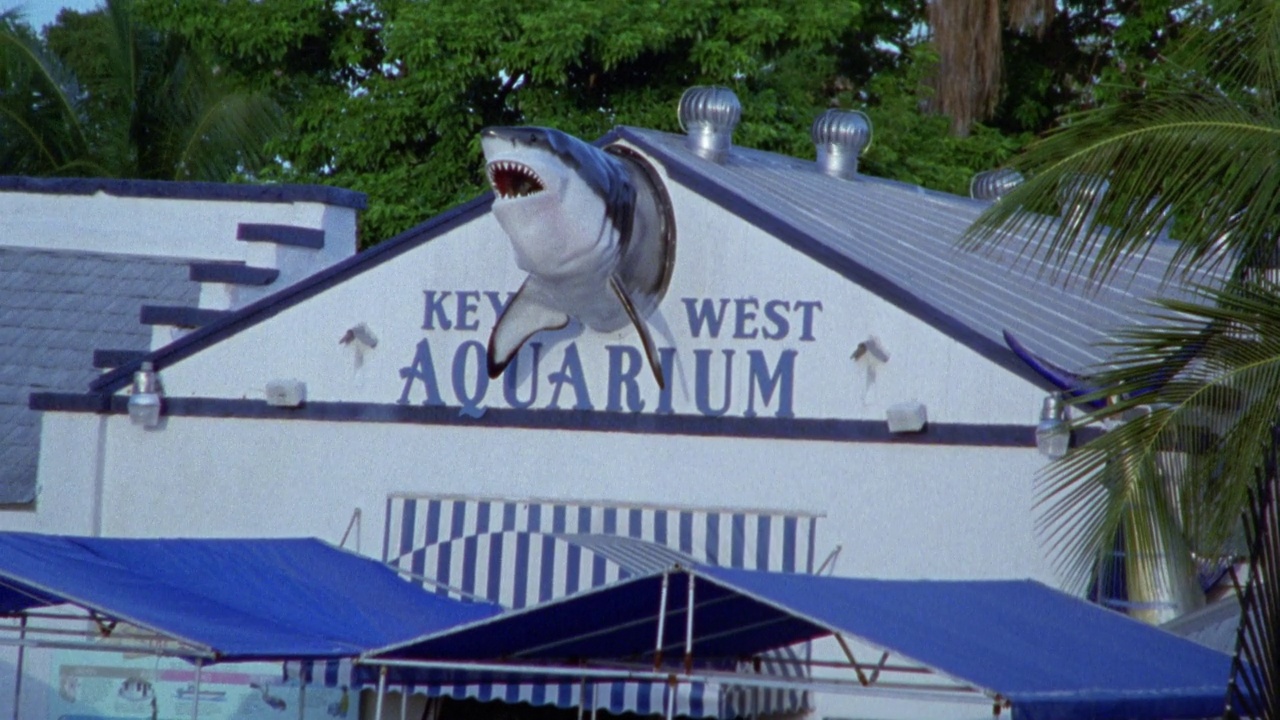 西部主要水族馆建筑的广角镜头，巨大的三维鲨鱼模型从标志中突出视频素材