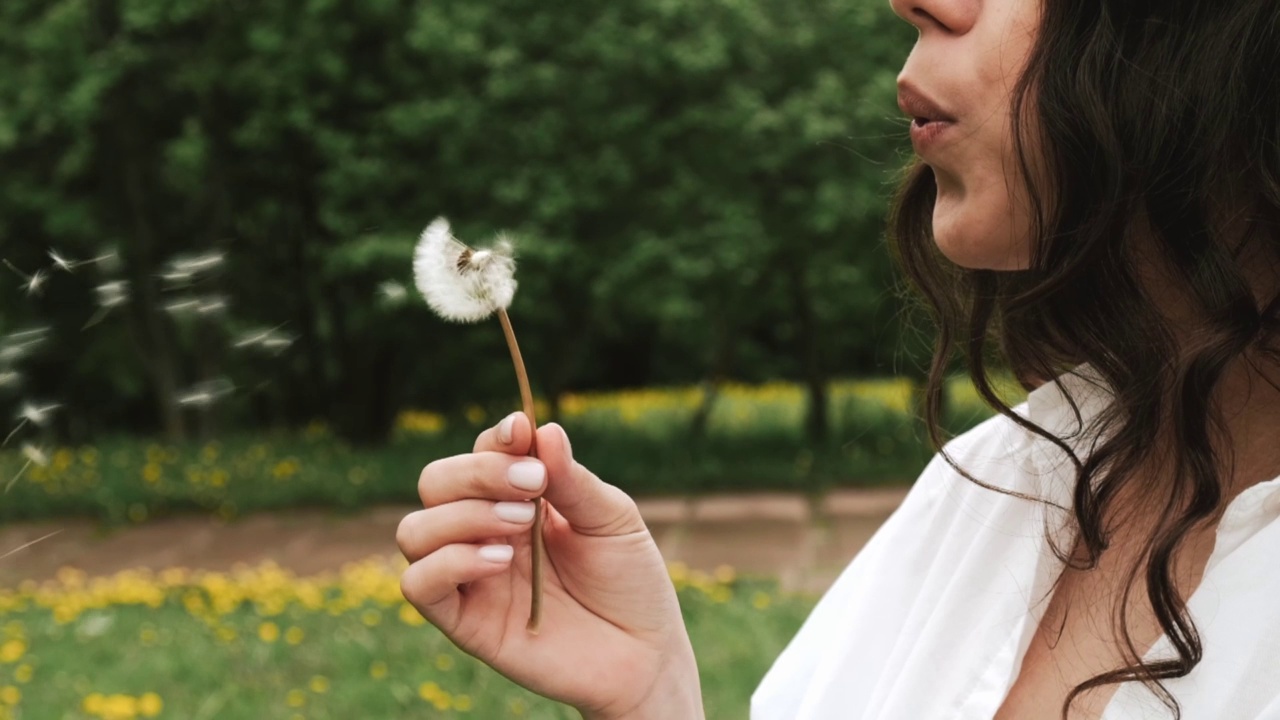 一个年轻的黑发女人的特写吹蒲公英在一个夏天的公园。视频素材