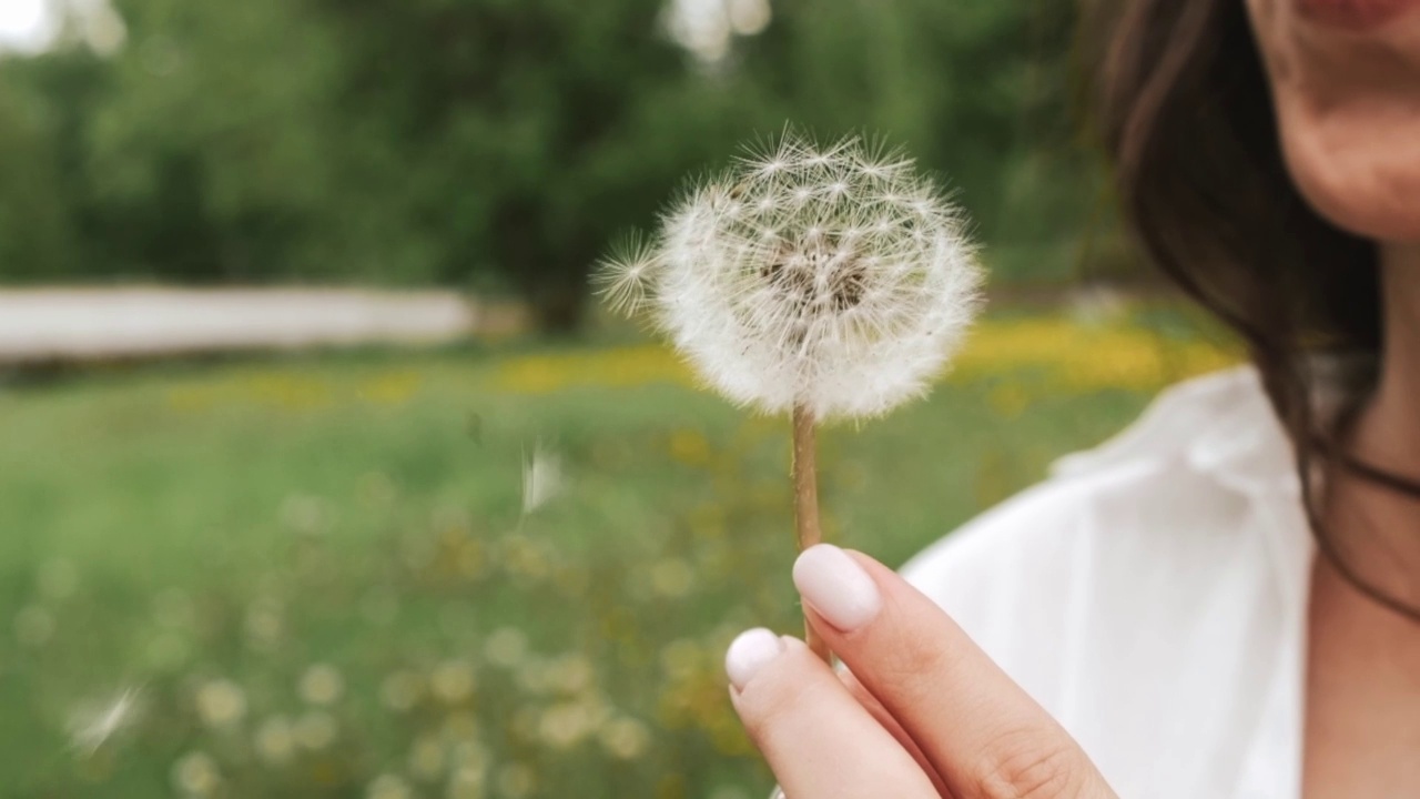 一个年轻的黑发女人的特写吹蒲公英在一个夏天的公园。视频素材