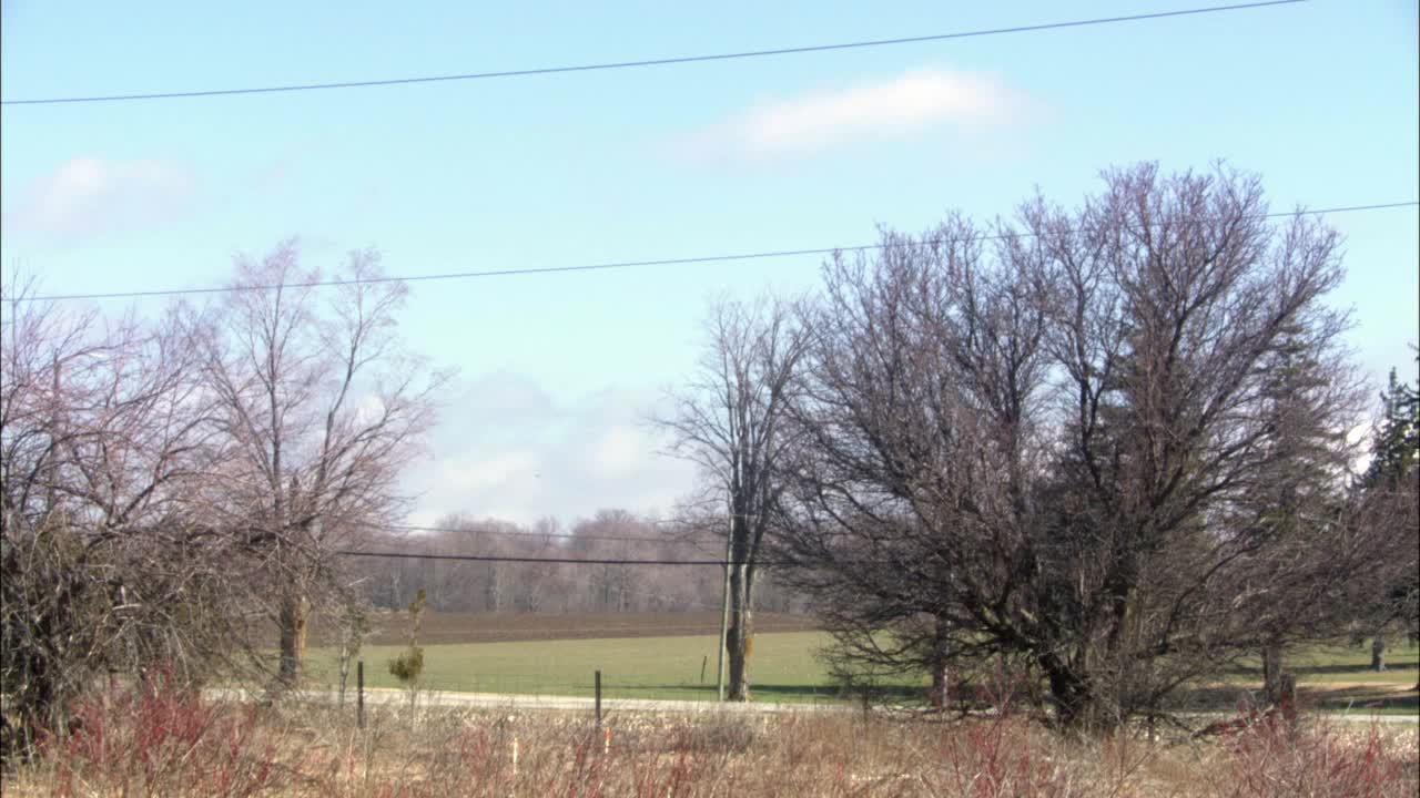 爱荷华州乡村或乡村的广角。在道路或街道旁看到光秃秃的大树。背景是绿色的牧场或田野。前方悬挂着电话线视频素材