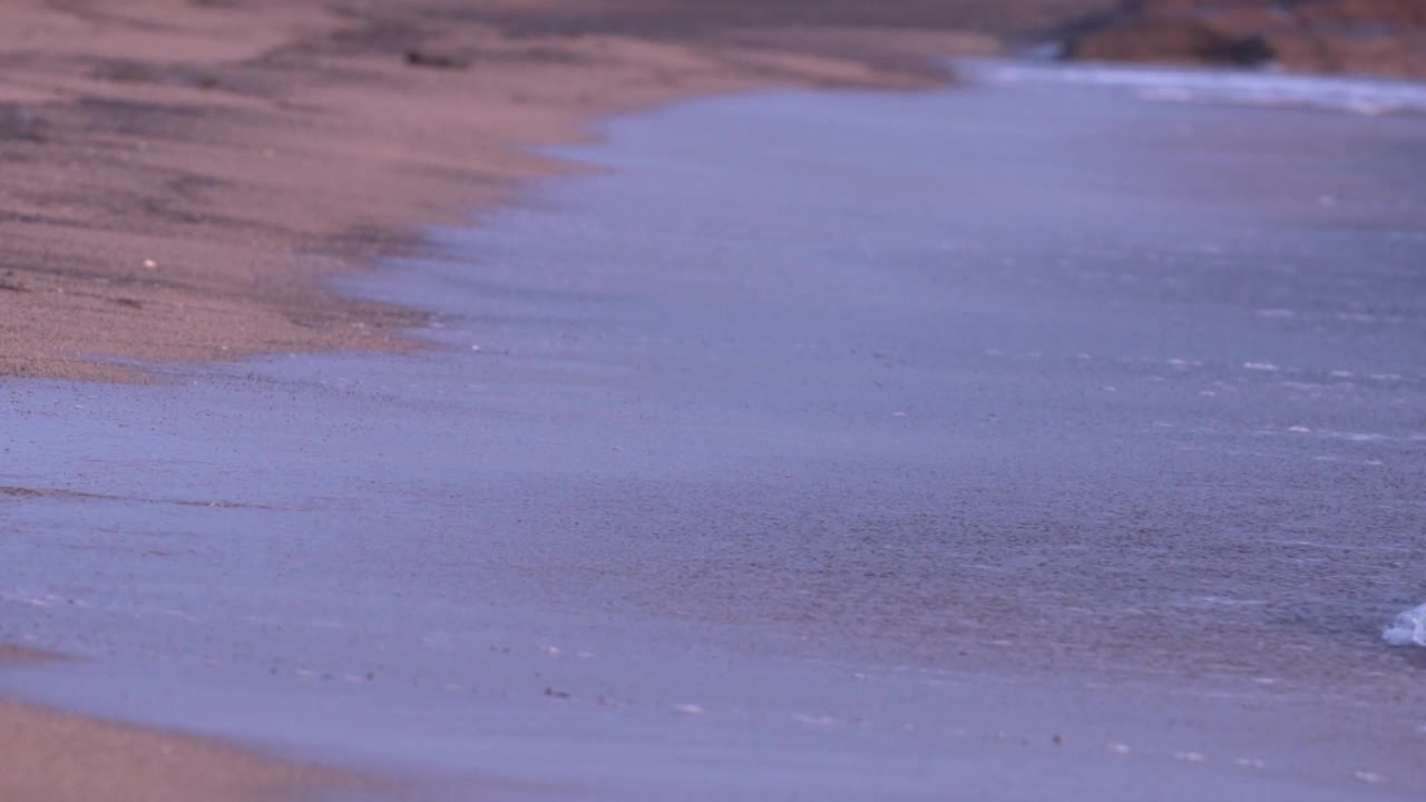 海滩和海浪/西归浦市，济州岛，韩国视频素材