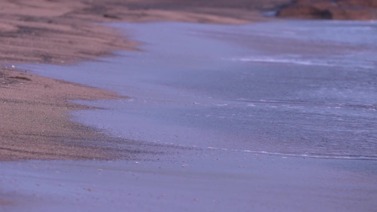 海滩和海浪/西归浦市，济州岛，韩国视频素材