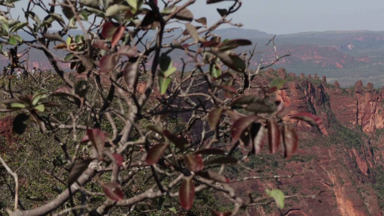 guimaraes的Chapada dos guimaraes视频素材