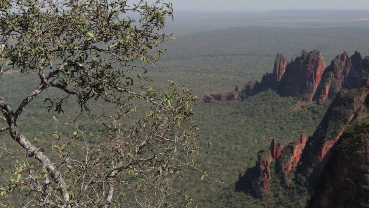 guimaraes的Chapada dos guimaraes视频素材