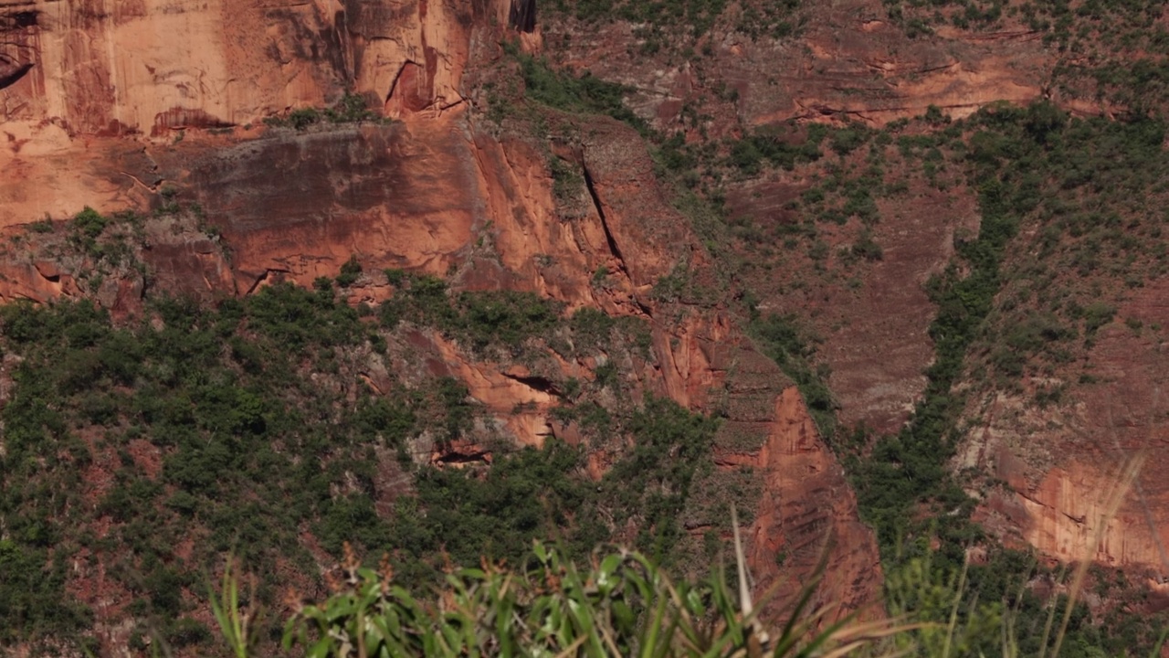 guimaraes的Chapada dos guimaraes视频素材