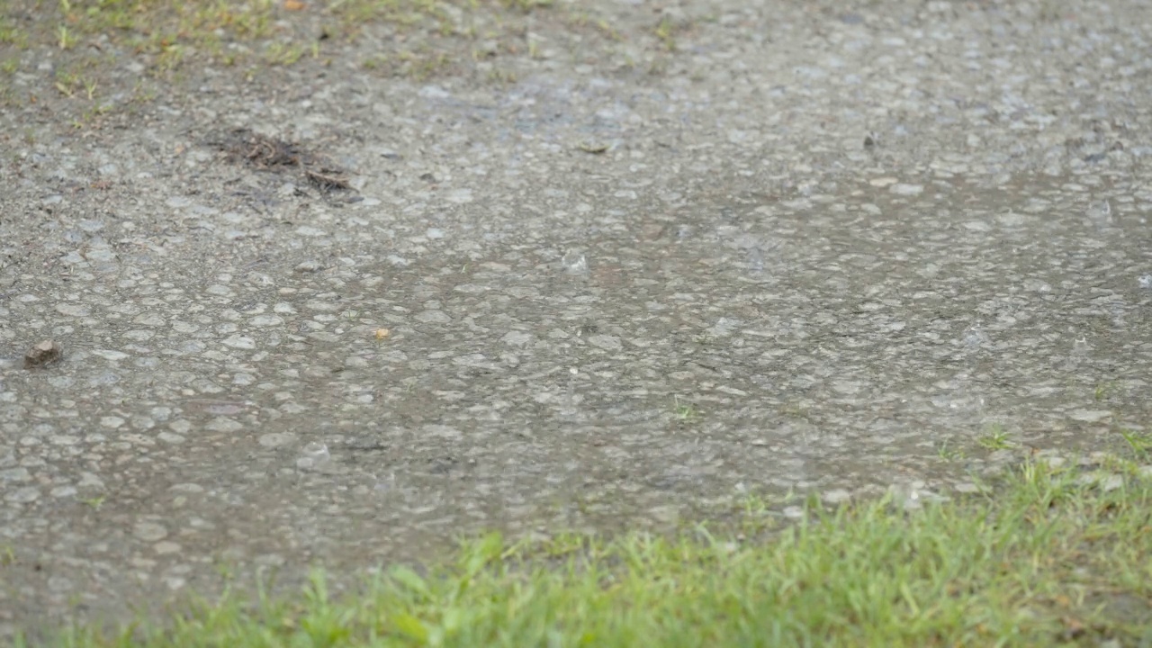 雨滴落在爱沙尼亚的地面上视频素材