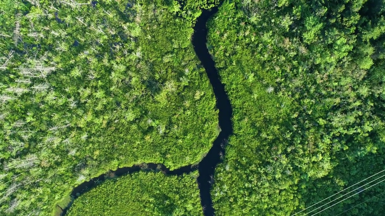 电力线穿越湿地视频素材