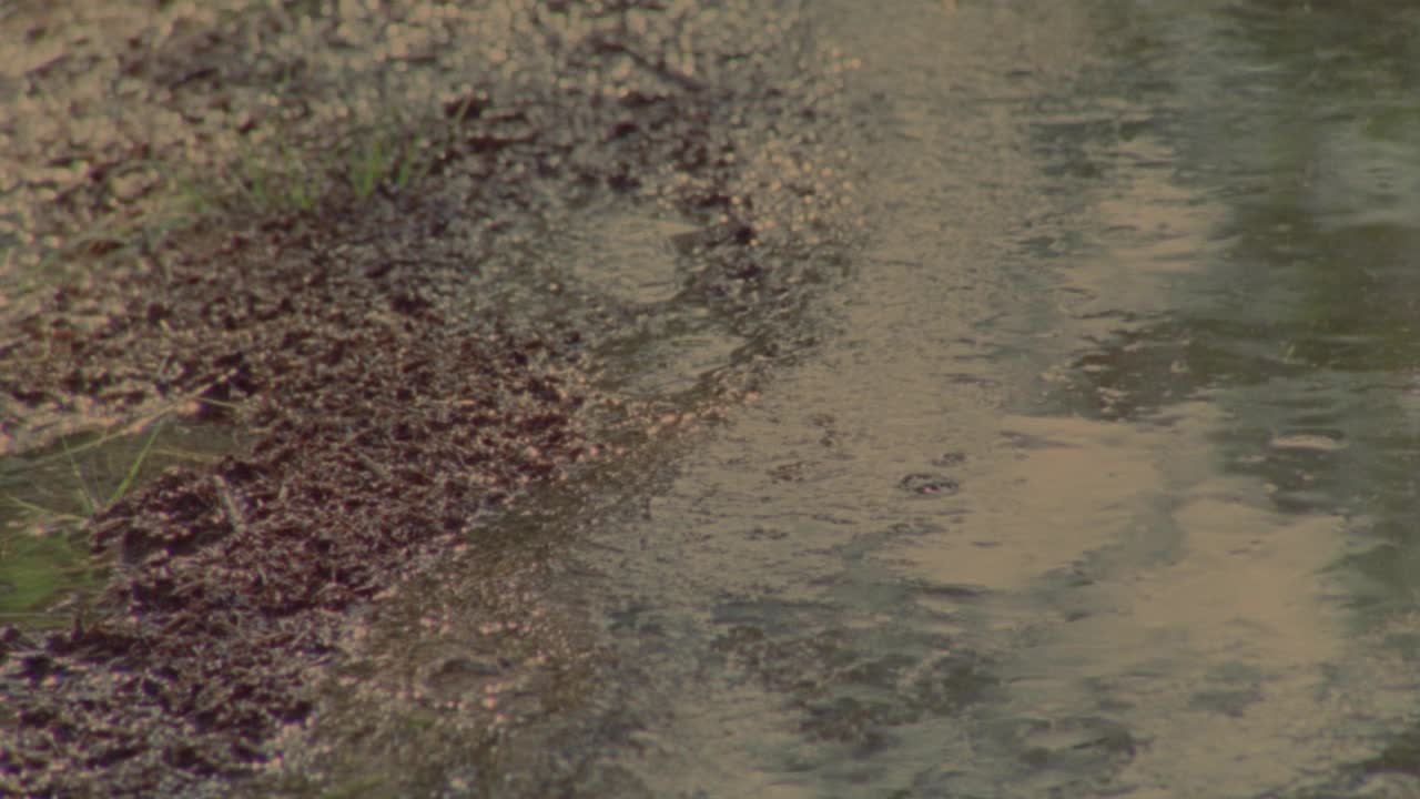 雨和/或冰雹打在泥泞的地面上，有一点草。水坑。风暴视频素材