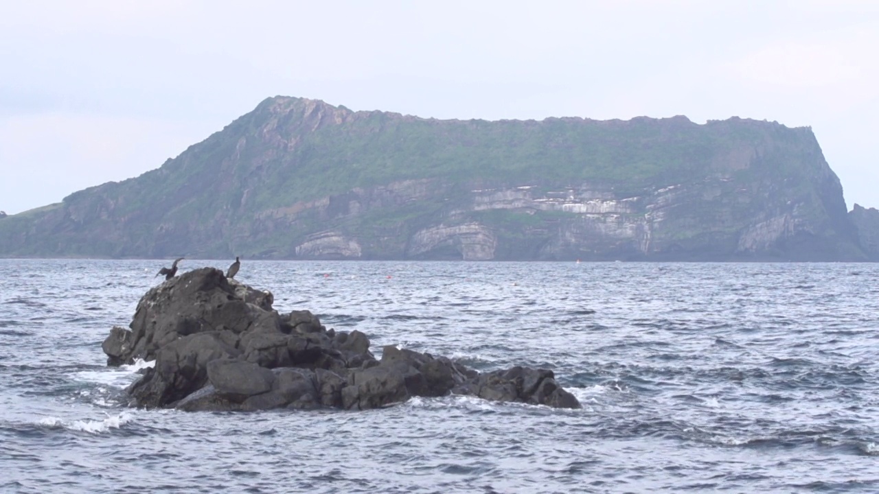 鸟儿在石头上休息，在韩国济州岛西归浦市城山一铁峰上休息视频素材