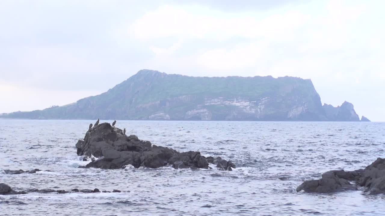 鸟儿在石头上休息，在韩国济州岛西归浦市城山一铁峰上休息视频素材