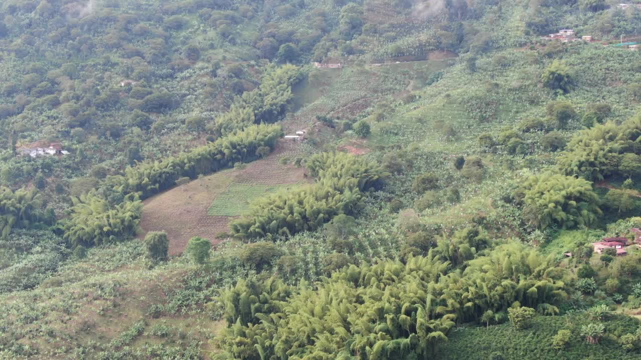 山上有香蕉种植园视频素材