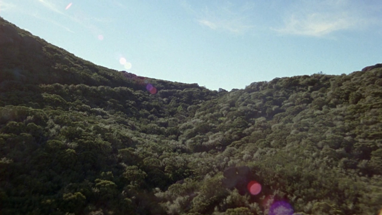 空中蜿蜒的两车道公路穿过沿海山区。低洼的树木、灌木和其他树叶覆盖着山脉视频素材