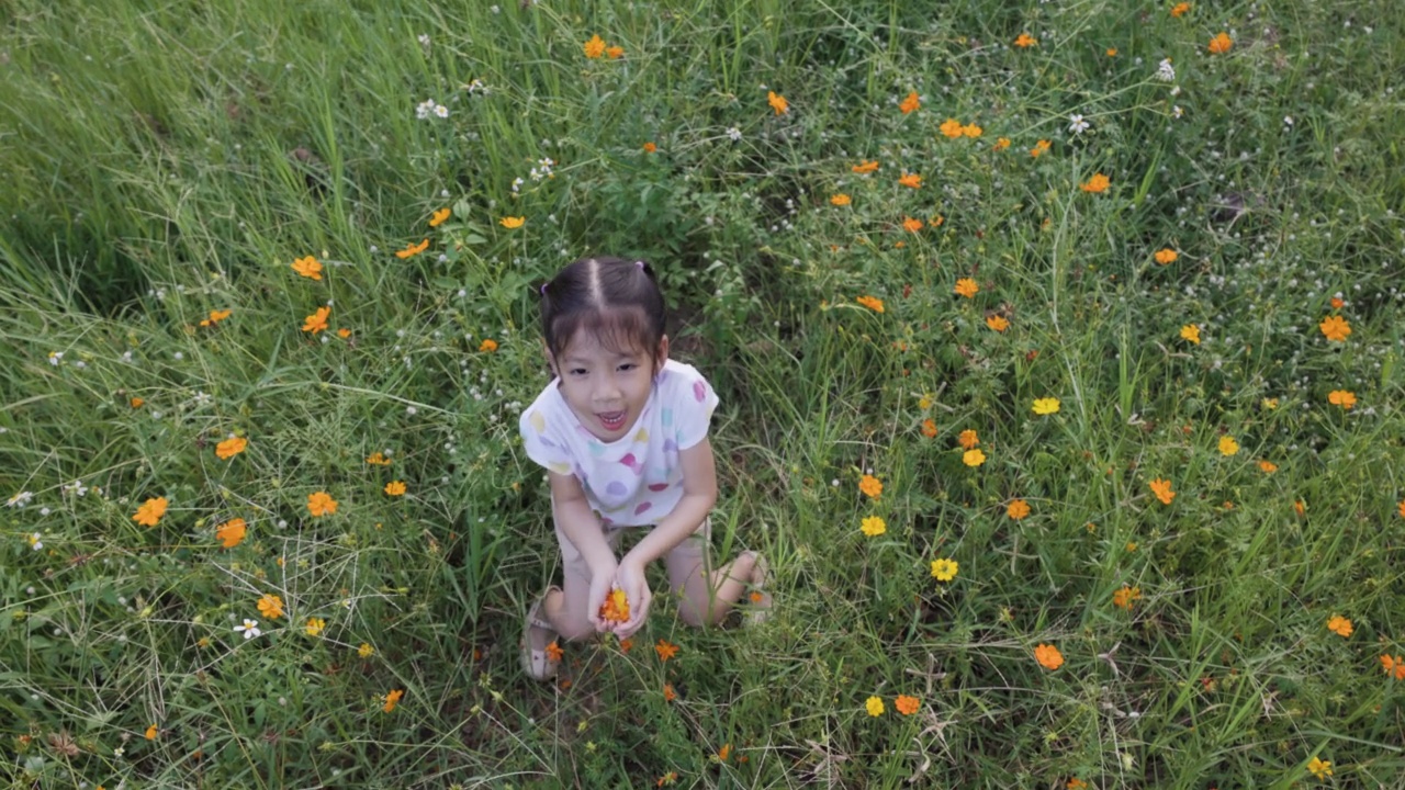 小亚洲女孩扔黄色的花瓣，在绿色的草地背景。视频下载