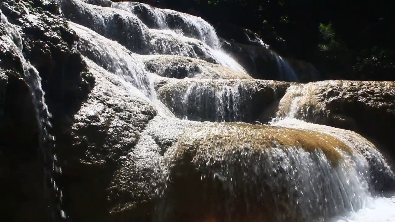 瀑布在森林中流淌视频素材
