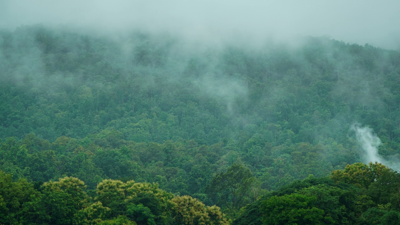 雨后雾在山上延时拍摄视频素材