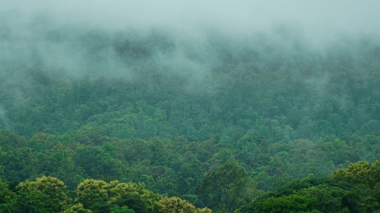 雨后雾在山上延时拍摄。变焦镜头。视频素材