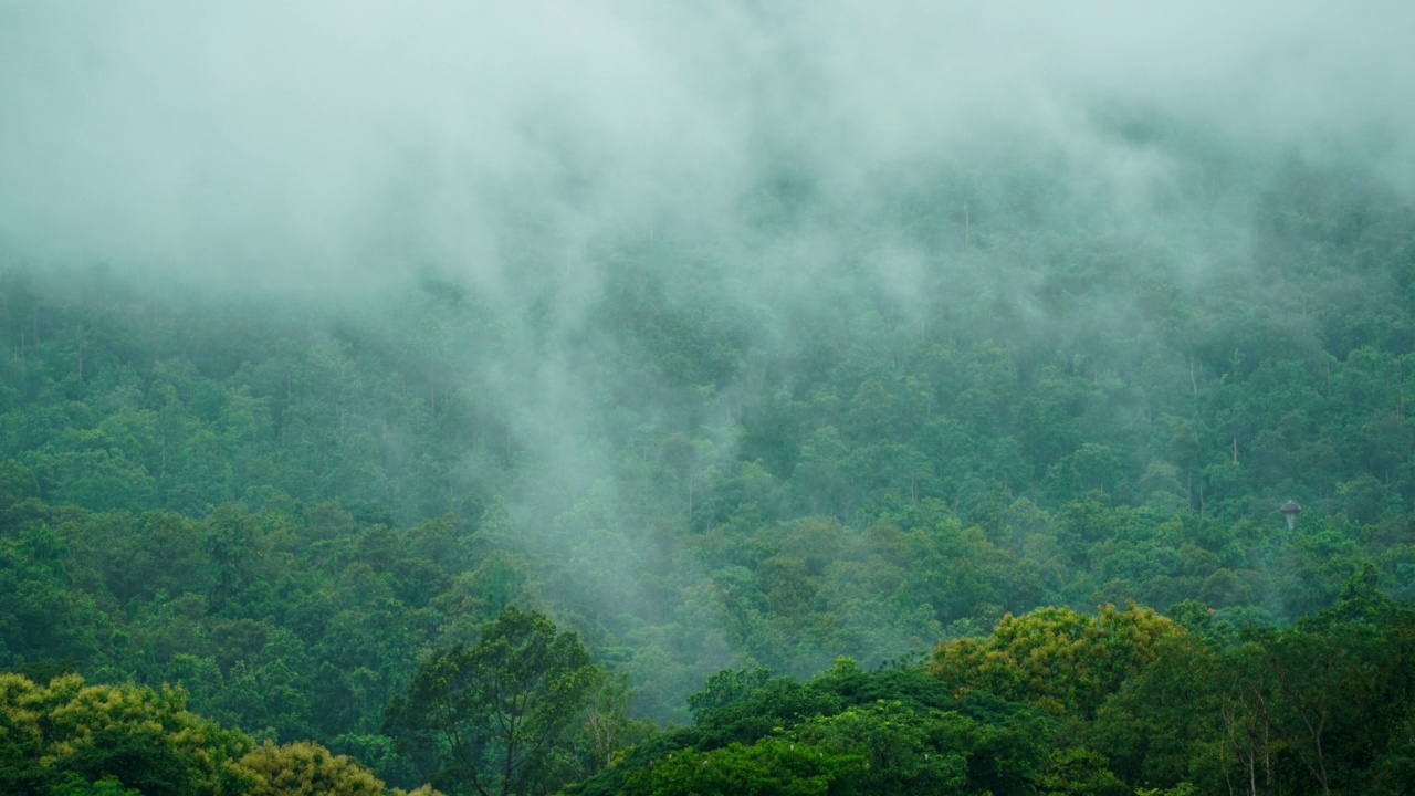 雨后雾在山上延时拍摄视频素材