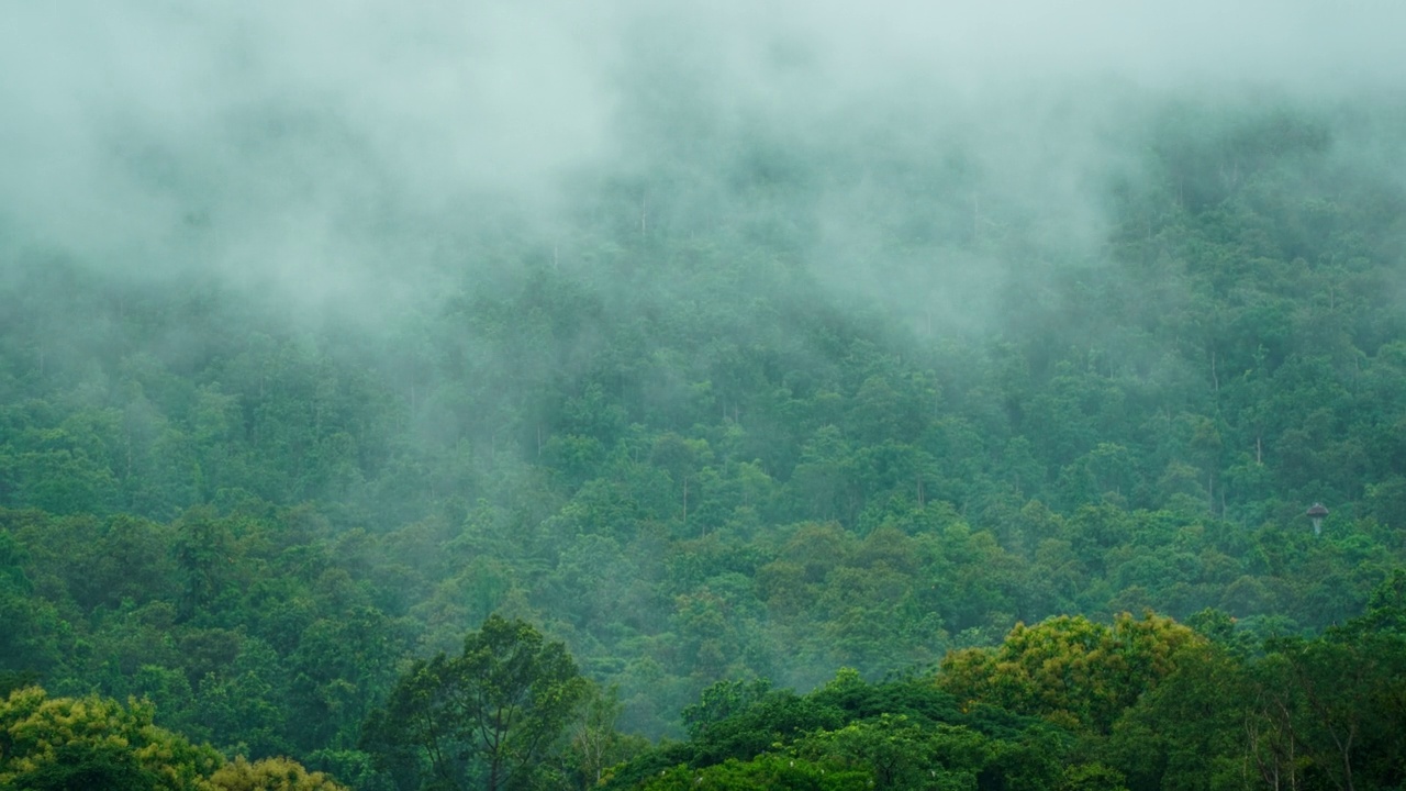 雨后雾在山上延时拍摄。(变焦镜头)视频素材