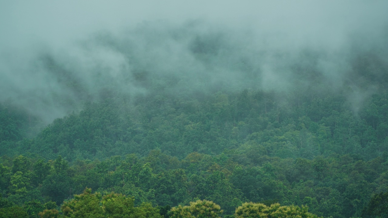 雨后雾在山上延时拍摄视频素材