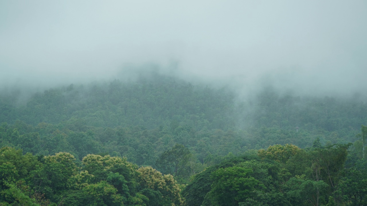 雨后雾在山上延时拍摄视频素材