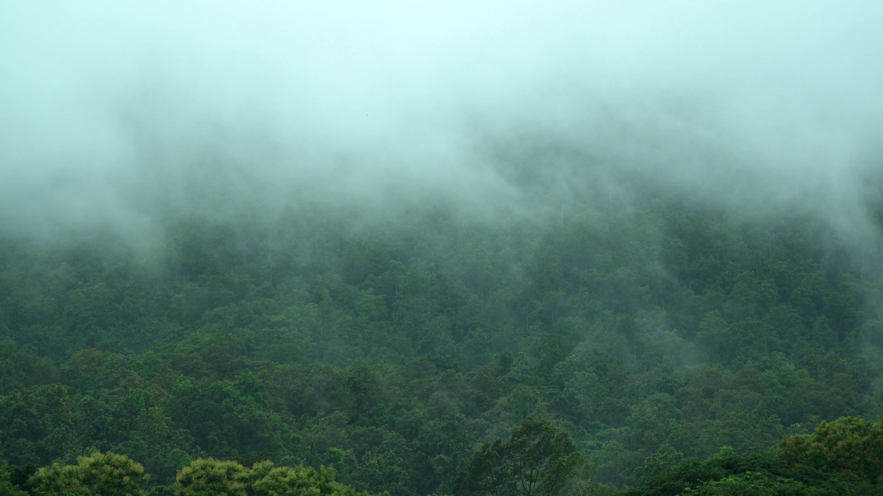 雨后山上的雾在移动视频素材