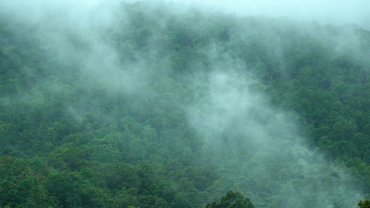 雨后山上的雾在移动视频素材