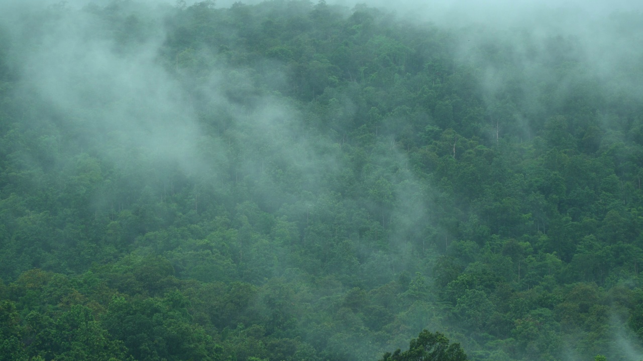 雨后山上的雾在移动视频素材