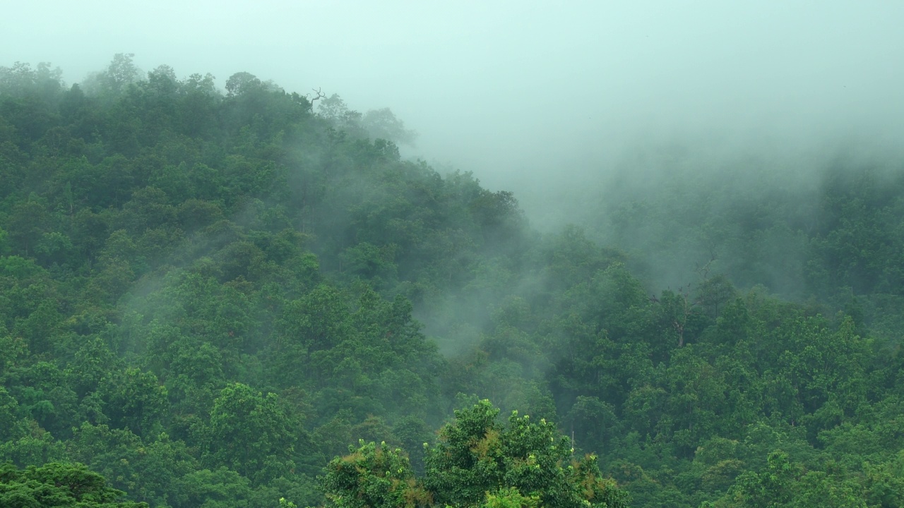 雨后山上的雾在移动视频素材