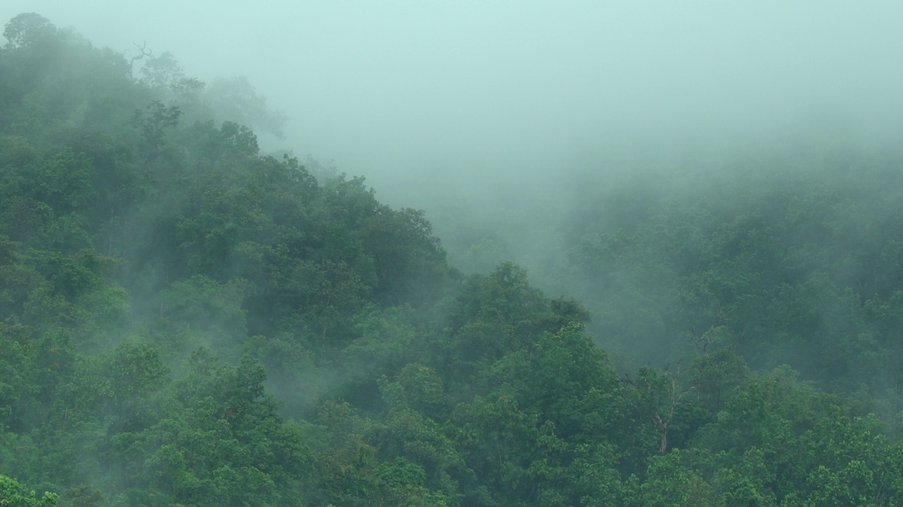 雨后山上的雾在移动视频素材