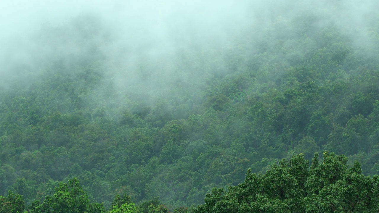 雨后山上的雾在移动视频素材