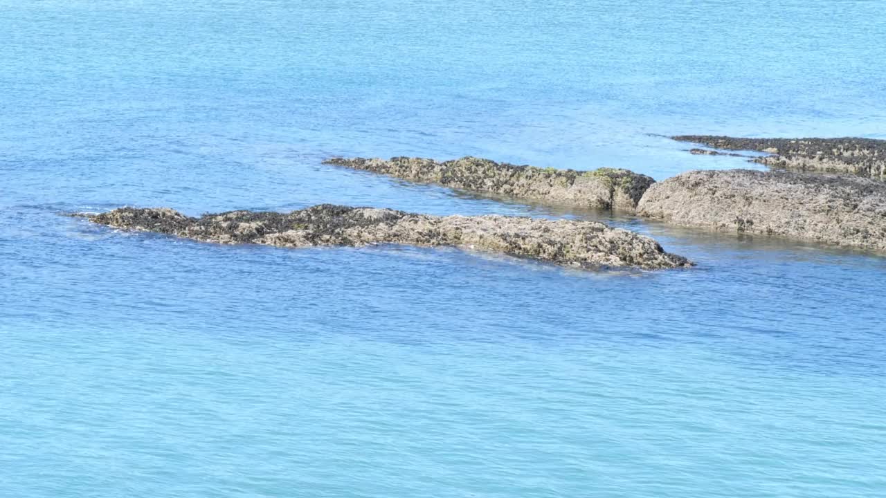 阳光明媚的日子里平静的海面。水里有大石头。手持视频。视频素材