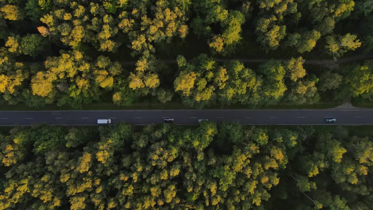 在阳光明媚的日子里，松树林的乡村道路上行驶的汽车鸟瞰图视频素材