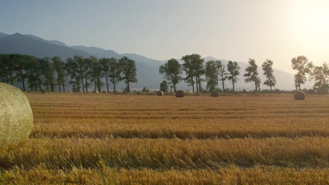 收获的田地用草包在夕阳下，农业耕作理念视频素材