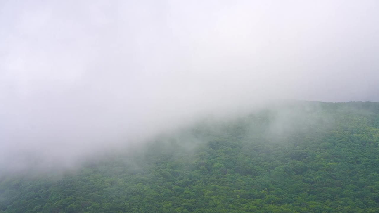 雾笼罩着这座山视频素材