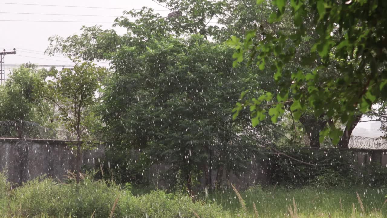 雨视频素材