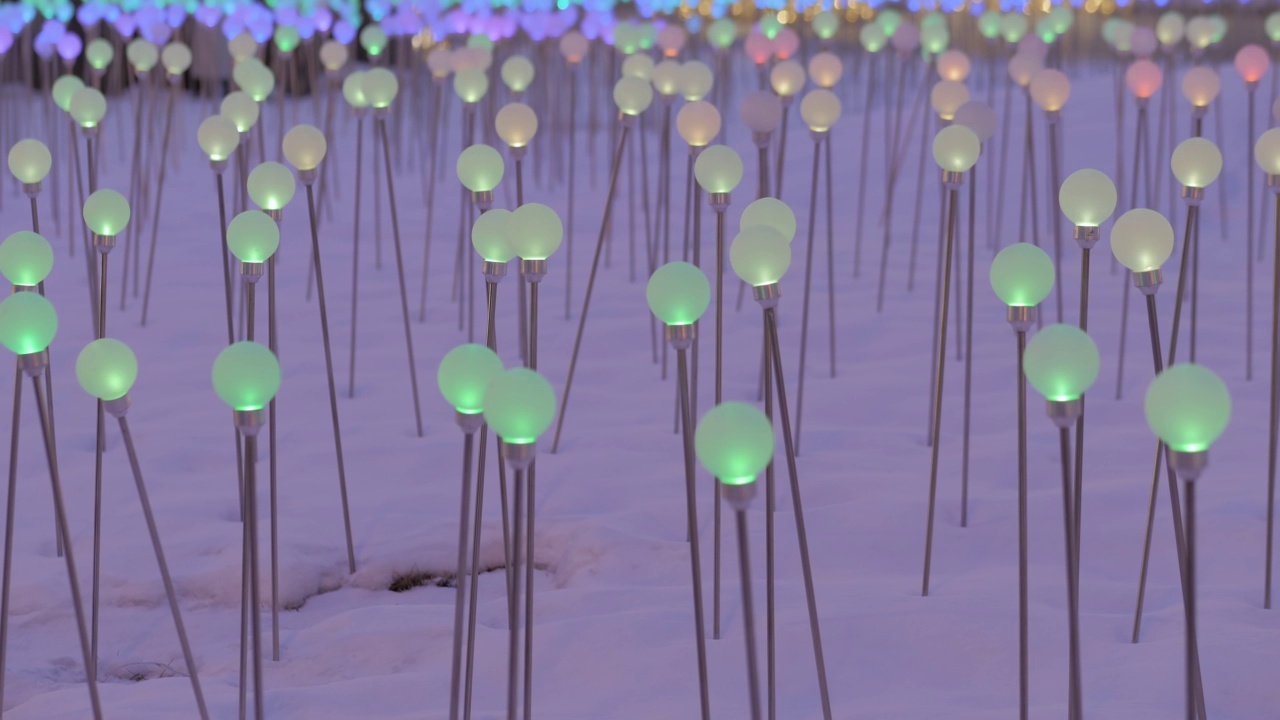 装饰灯泡与彩色照明在夜间的雪-特写视频素材