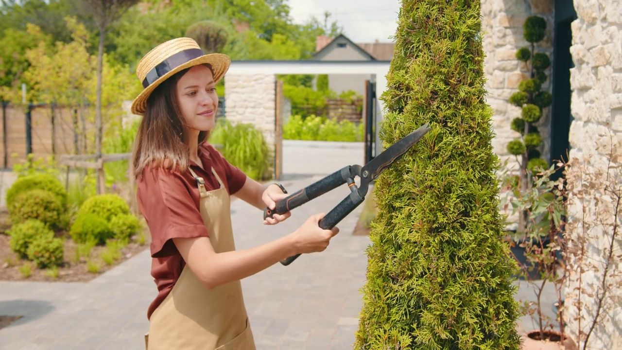 一个女园丁在她的房子的院子里照顾一个thuja。用花园大剪刀剪草。景观视频素材