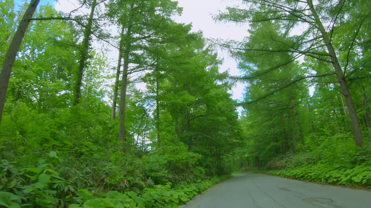 美丽的蓝天和清新的绿色的山路视频素材