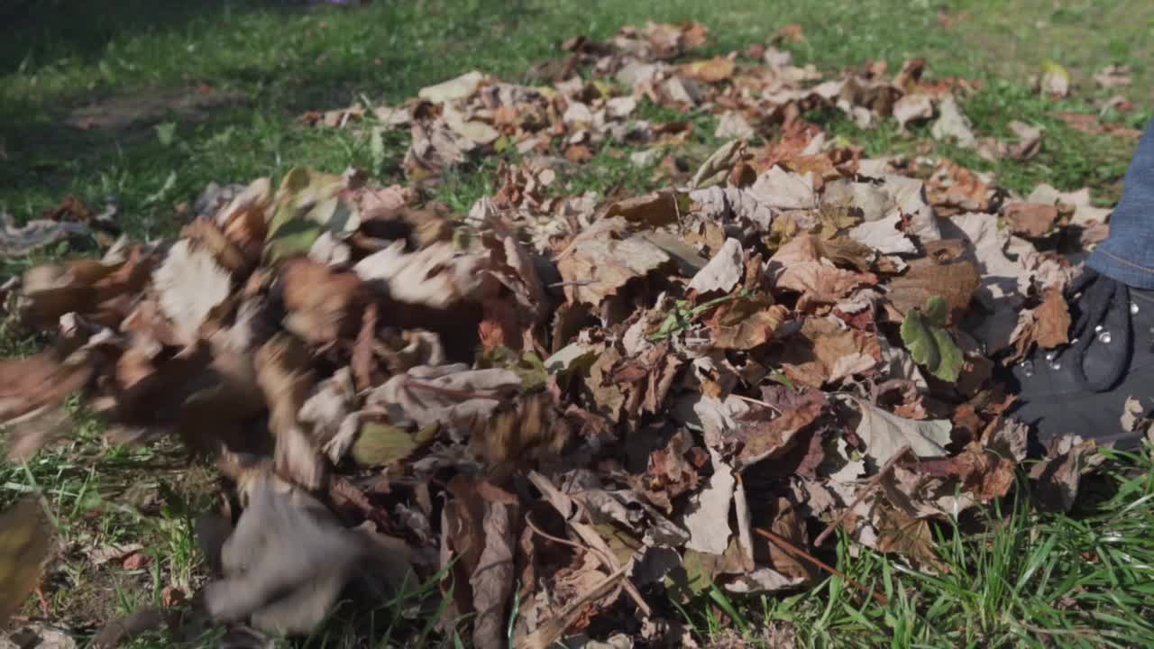 清洁工用耙扫秋天花园里的枯叶视频素材