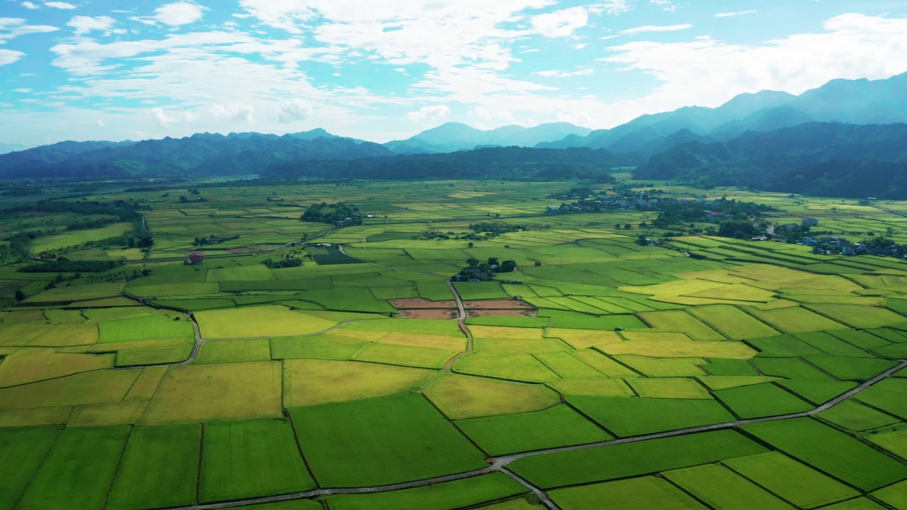 稻田种植和村庄的鸟瞰图视频素材