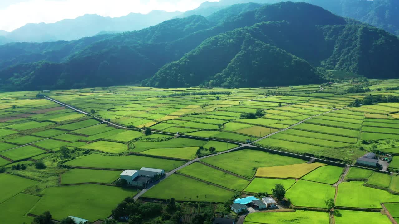 稻田种植和村庄的鸟瞰图视频素材