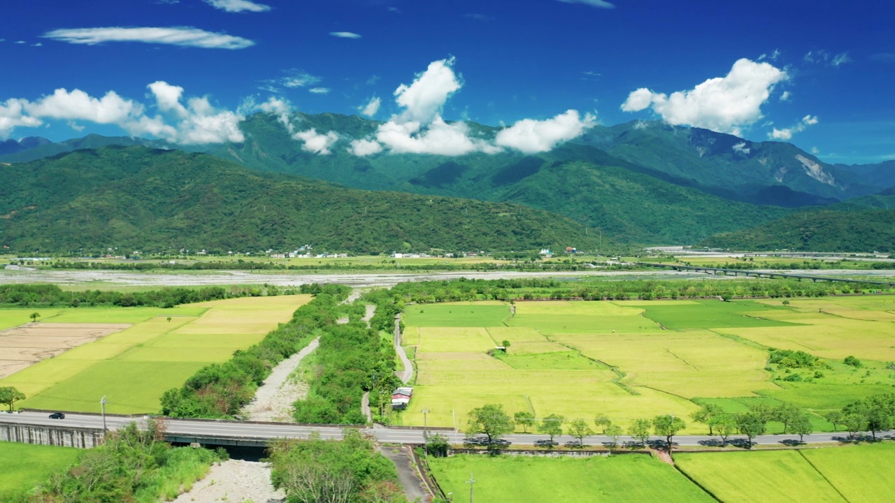 稻田和道路的鸟瞰图视频素材