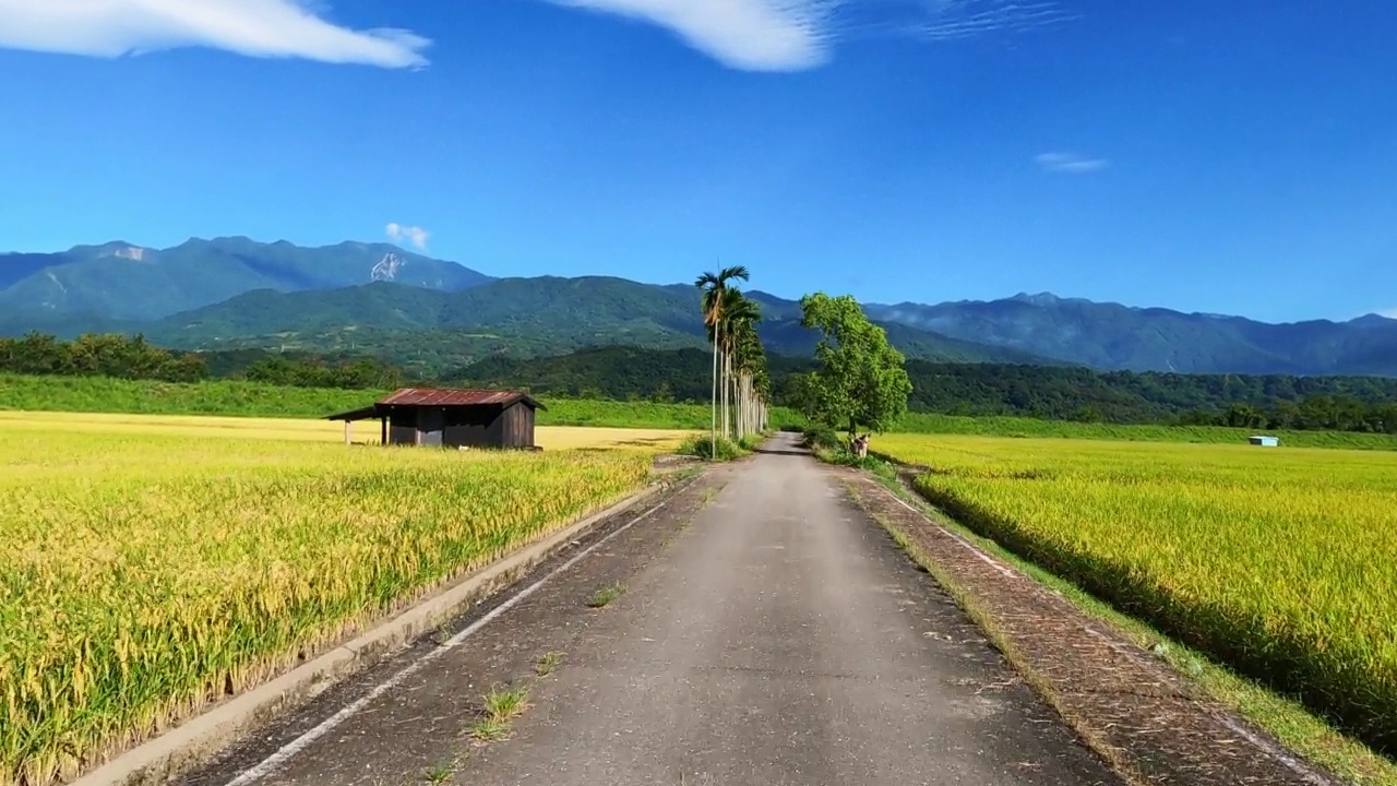 驾驶穿过台湾稻田的照片视频素材