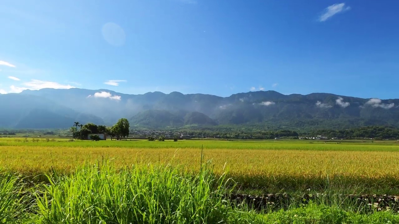 驾驶穿过台湾稻田的照片视频素材