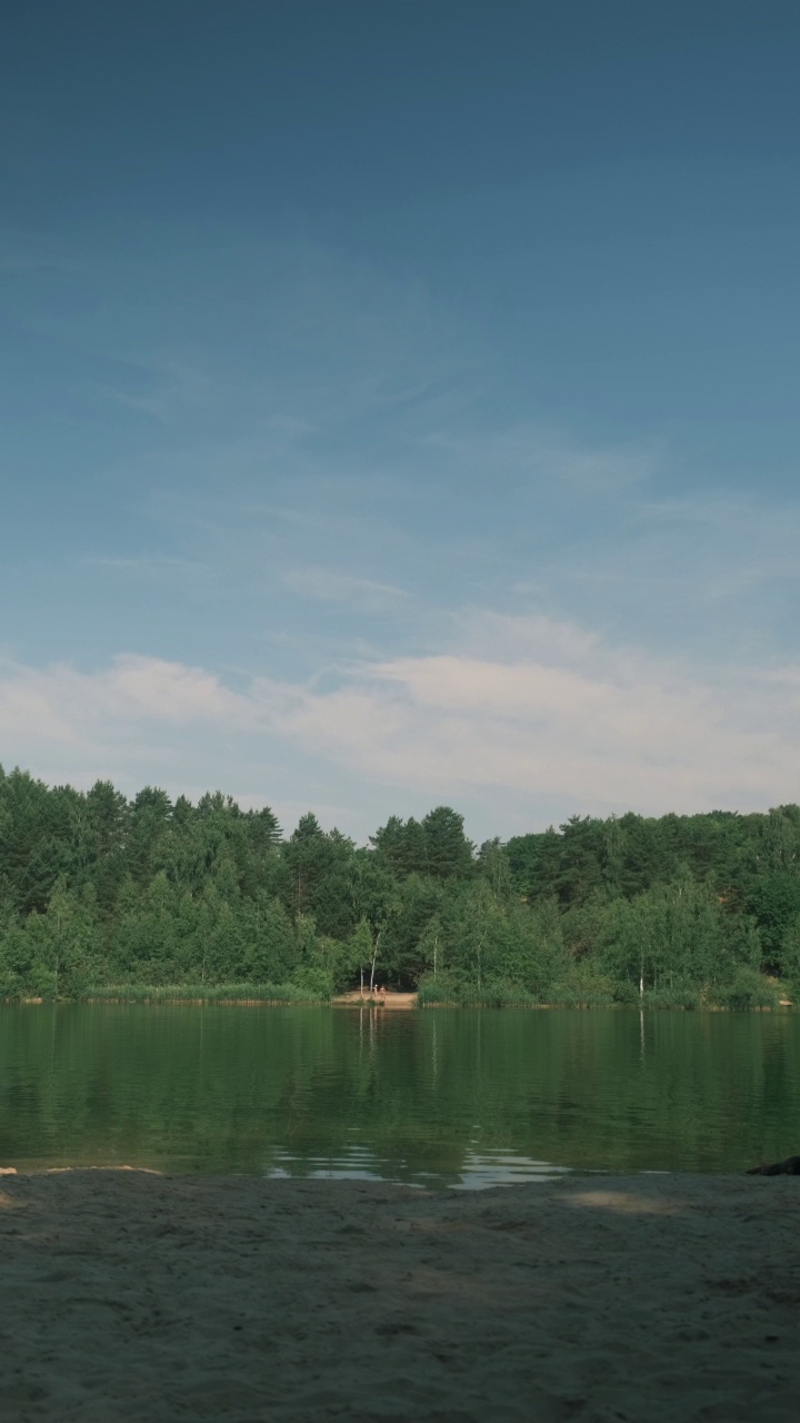 夏天早晨的森林湖景视频素材