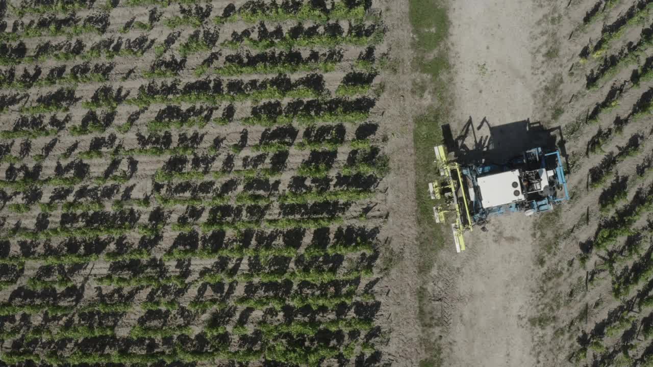 正在收获葡萄的空中无人机视频下载