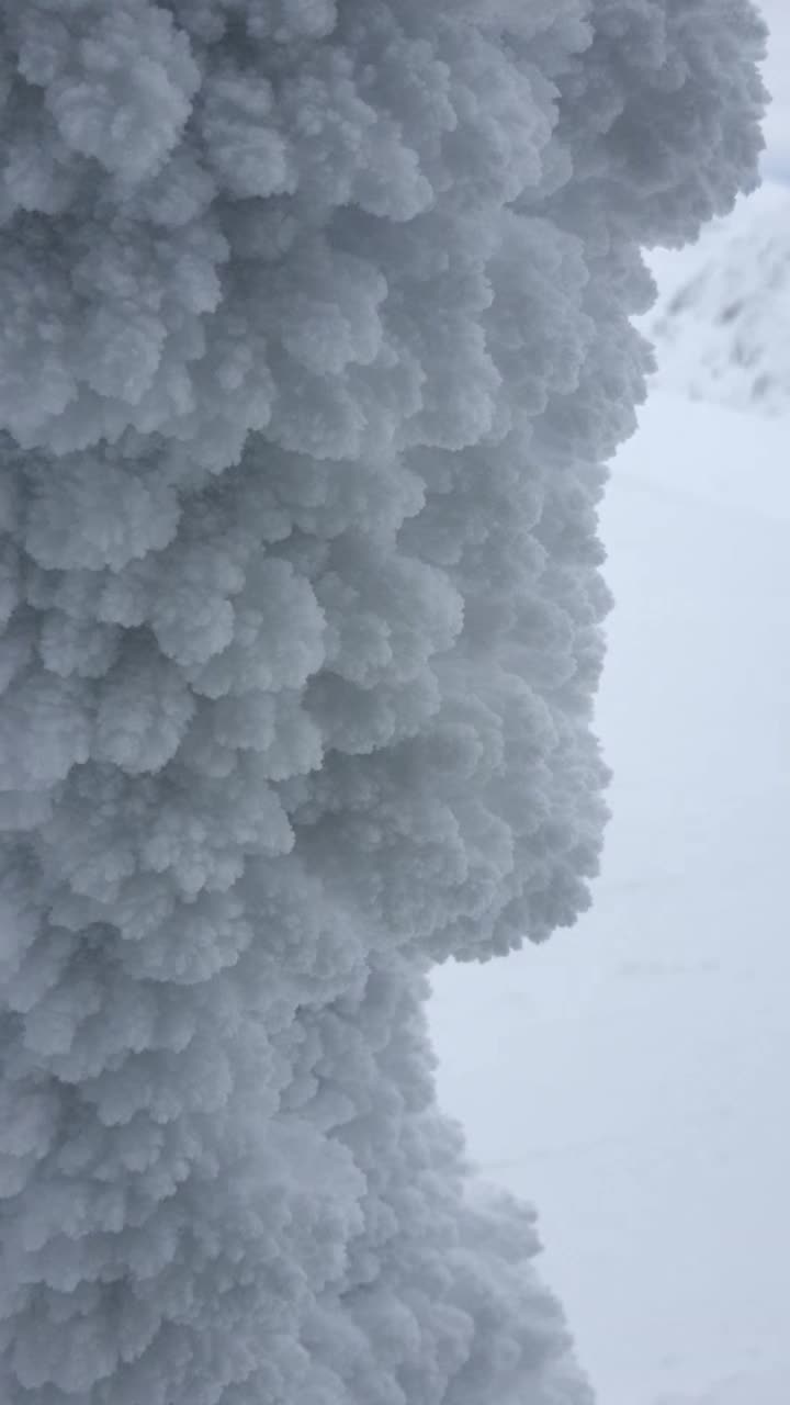 斯洛伐克山顶上的滑雪者视频素材